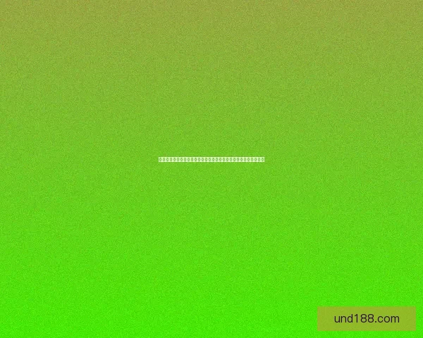 以中国第一洲为核心探索区域经济发展与文化传承的全新模式与机遇